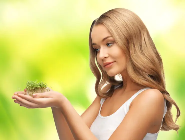 Hair Restoration at DrHairs